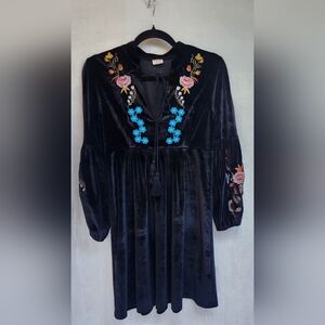 Black Velvet Whimsey Goth Balloon Sleeve Embroidered Sz Small Babydoll